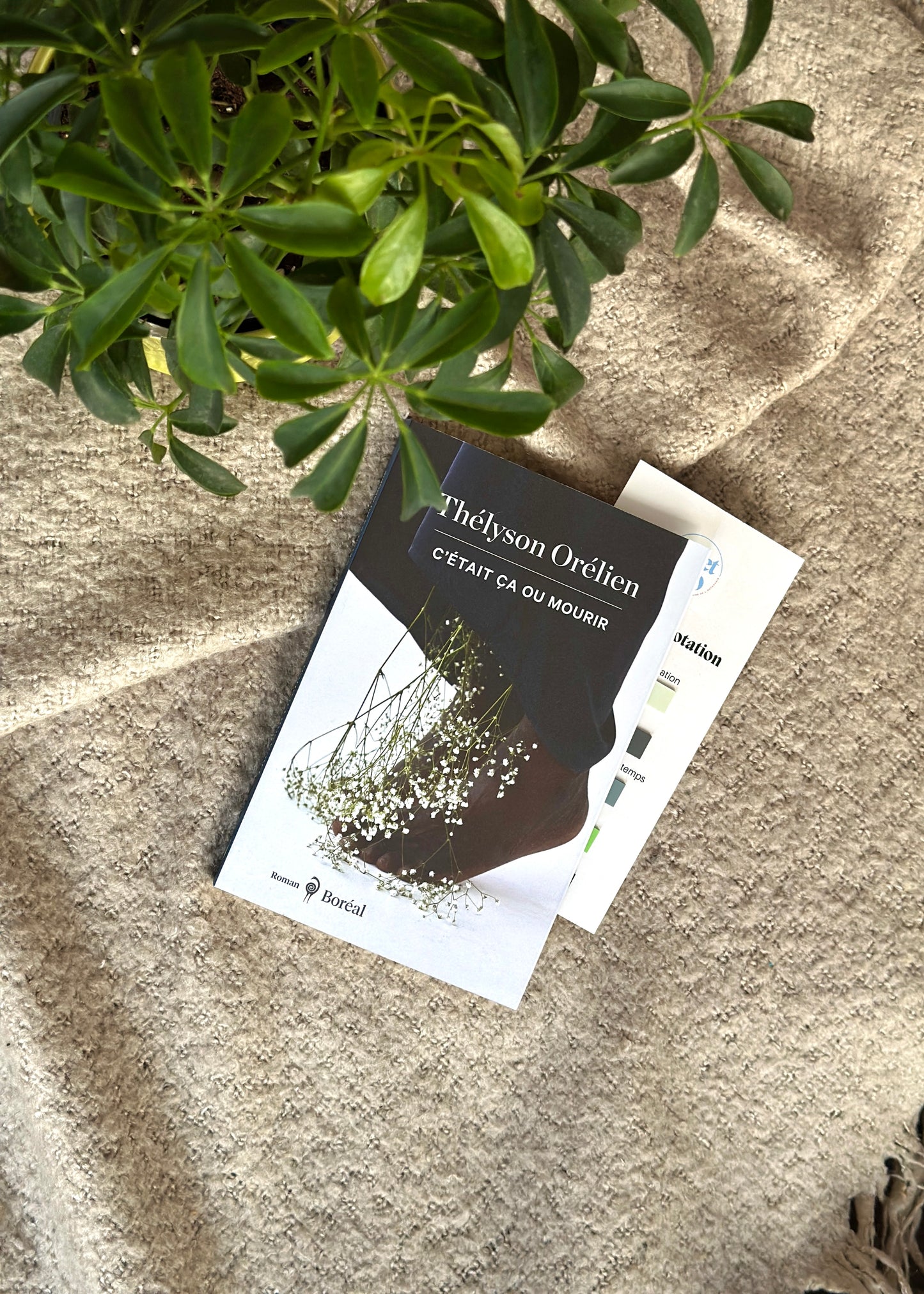 Club de lecture en juin - LAVAL
